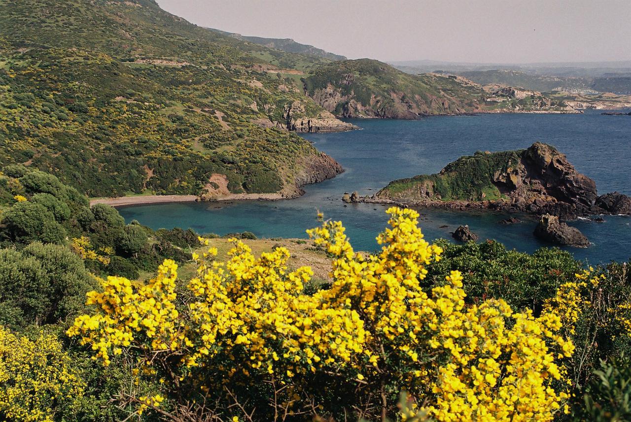 Casa Vacanze Sandalia Bosa Εξωτερικό φωτογραφία
